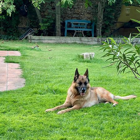 Santa Caterina - Dog Friendly With Garden Vila Sobrestany Exterior foto